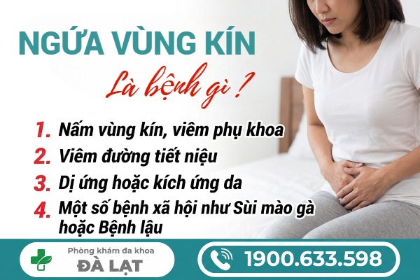 Hình ảnh minh họa
